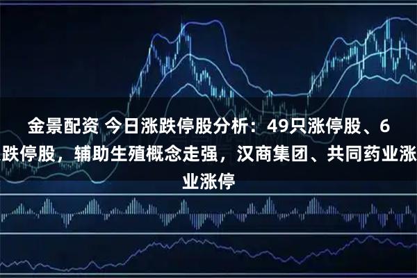 金景配资 今日涨跌停股分析：49只涨停股、6只跌停股，辅助生殖概念走强，汉商集团、共同药业涨停