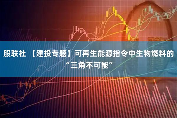股联社 【建投专题】可再生能源指令中生物燃料的“三角不可能”