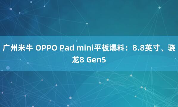 广州米牛 OPPO Pad mini平板爆料：8.8英寸、骁龙8 Gen5