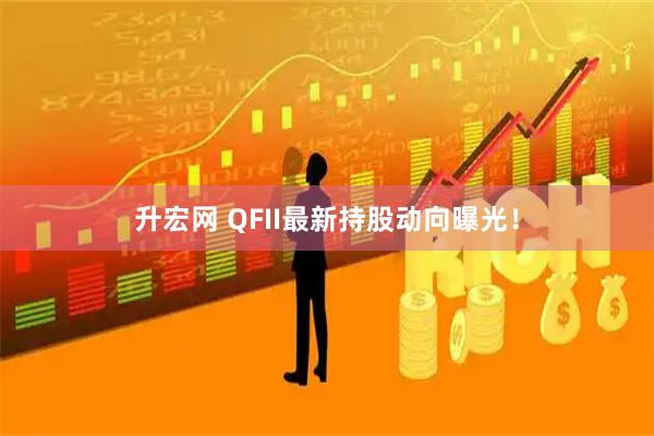 升宏网 QFII最新持股动向曝光！