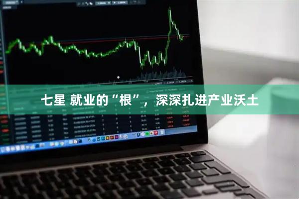 七星 就业的“根”，深深扎进产业沃土